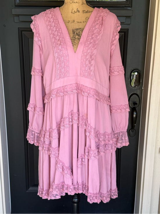 L'ATISTE Dresses & Skirts - L'ATISTE Rose Boho Cottagecore Coquette Fairy Romantic Lace Up Back 1X
